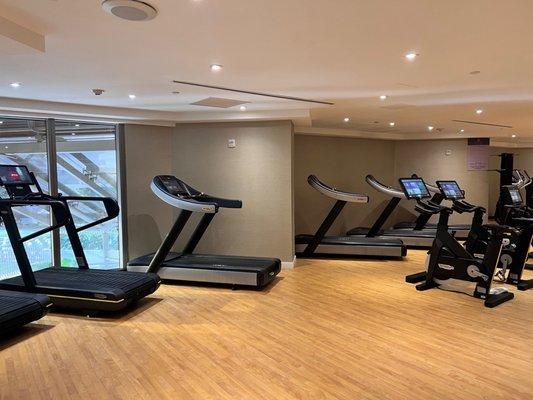 Depressing gym with no view and on separate floor from spa and pool.