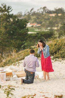 Photos of me and my fiancée for our surprise engagement photos. Audey was absolutely amazing capturing the moment.