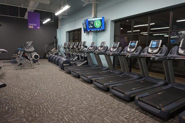 Variety of Cardio Machines