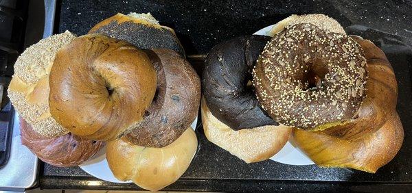 Assorted Dozen Bagels