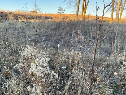 Spring Creek Prairie Audubon Center