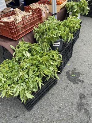 Basil Plants at the Clement Street Farmers Market San Francisco