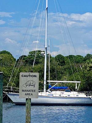 Anclote River Park