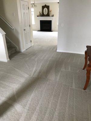 TW PRO Carpet & Upholstery Cleaning Services