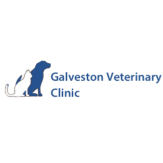 Galveston Veterinary Clinic