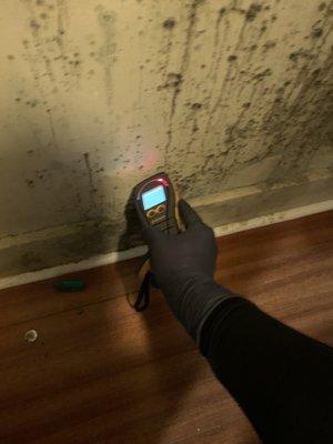 Closet with a musty smell? Call Mold Masters for inspection.