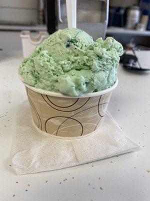 Pistachio ice cream. Wow. That was a small for like $5. Yummmmm.