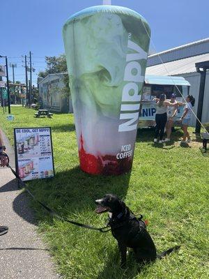 On the Pinellas Trail.  Park in The Foodie Lab parking lot.