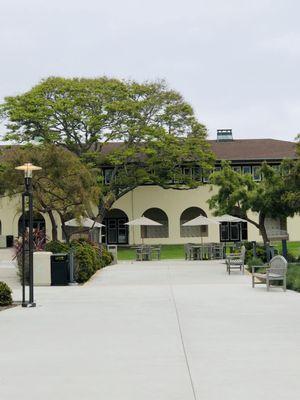 Beautifully maintained school grounds