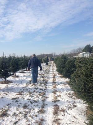 Our First Christmas Tree Cutting