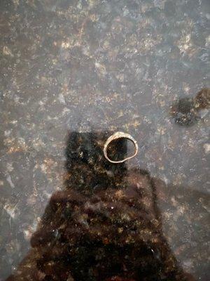 Ring 12 hours AFTER repair