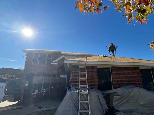 Shingle removal