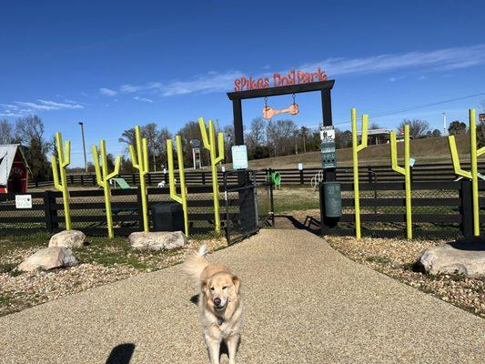 Entrance to the dog park