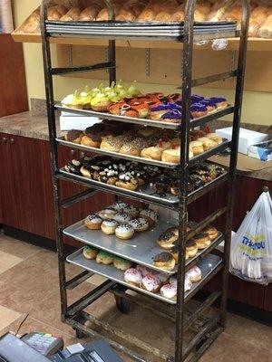 Special donuts for Hanukkah. They're pretty tough to chew.