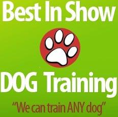 Best In Show Dog Training logo