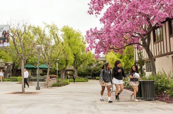 Upper School students walk to their next class on campus.