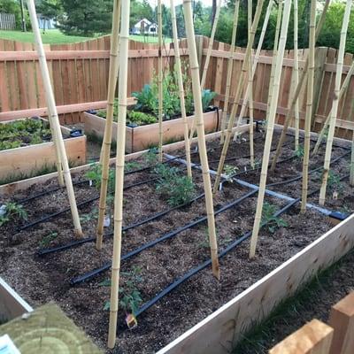 Divers helped me put together a soil mix that made my garden produce unbelievably well. Highly recommend them.