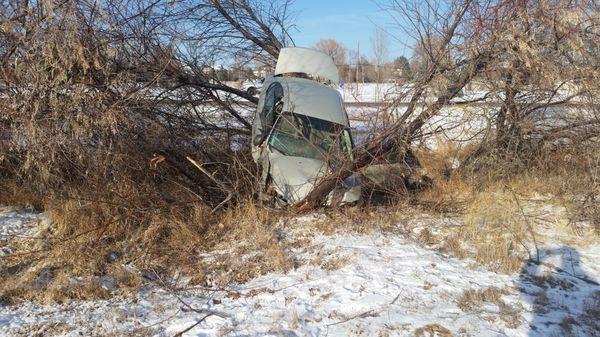 taurus up a tree!driver was ok!