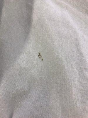 Stain from dirty washer