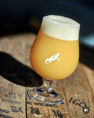 Our Hazy Ipa's are out of this world!