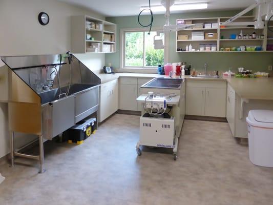 Meadowmont Animal Hospital Dental Suite