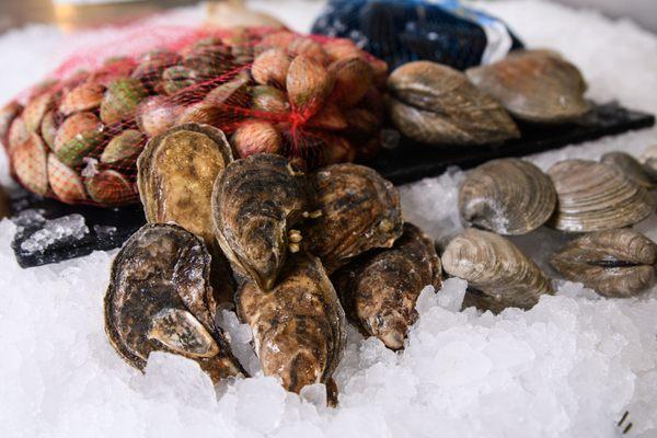 Shell Fish; Clams; Oyster: Mussels