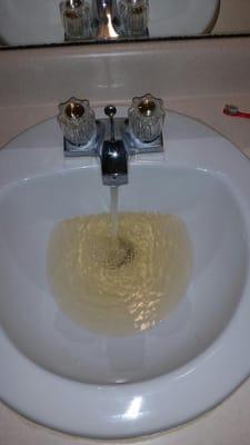 Brown water coming out of the faucets and toilet.