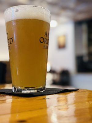 Hazy IPA brewed locally from Nook