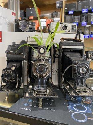 Some camera on display.