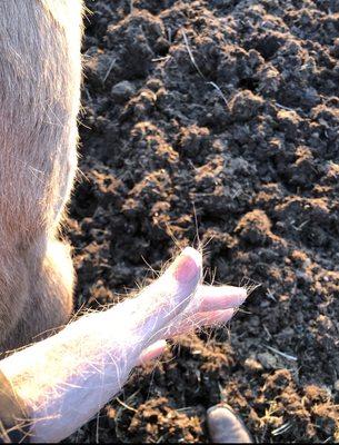 Yes, the nails even hold up in this environment. Incredible!