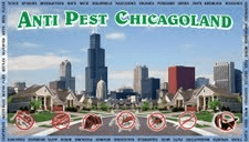 Anti Pest Chicagoland