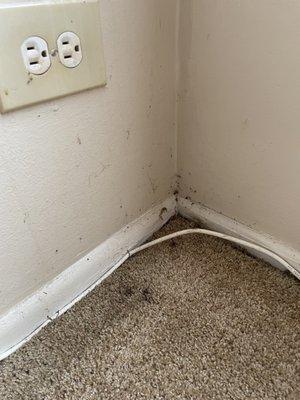 More mold growing by furnace room which leaked