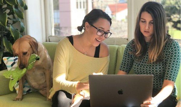 Looking for a great place to work? We're dog friendly - dog preferred, actually!