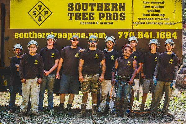 Whether you need some minor tree pruning or a full tree removal, we are licensed, insured, and qualified to provide you with great prices!