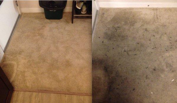 Before / After Heavily soiled  Deep Steam Cleaning, deodorize and sanitize.