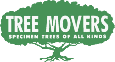 Tree Movers - Specimen Trees of All Kinds