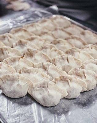 Homemade dumplings!