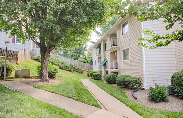 Manicured Mature Landscaping