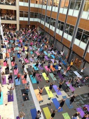 Yoga at Innovation Quarter