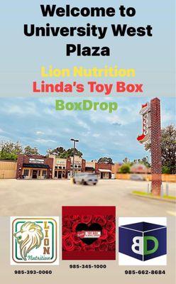 Linda's Toy Box & Adult Videos