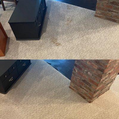 Steam Carpet Cleaning