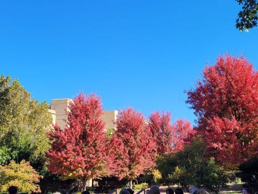 University of Oklahoma Health Sciences Center