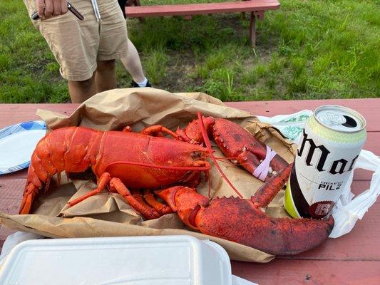 Beach Plum Lobster Farm