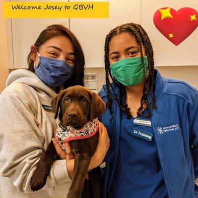 Welcome Josey! Thank you for choosing us for your family veterinary hospital!  #gbvethfamily