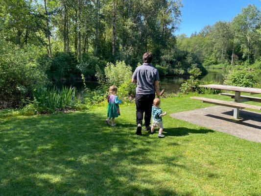 Grass by the river