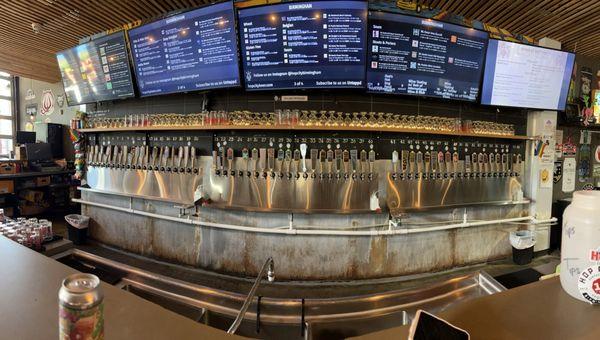 Wide variety of beers on tap arranged by type to make selection easy