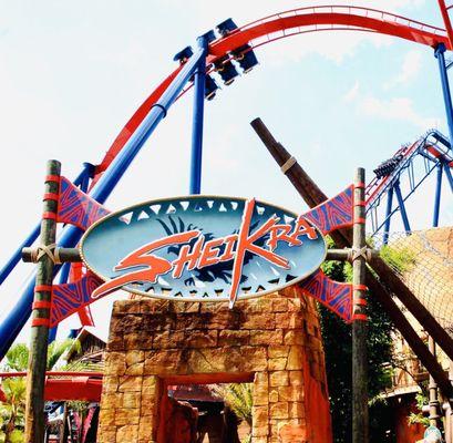 SheiKra