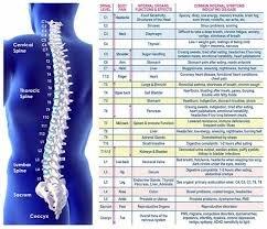 Subluxation Symptoms