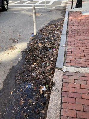 The curb on the Marlborough Street side of The Marlboro Market, What a disgrace!