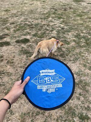 Learning to play frisbee.